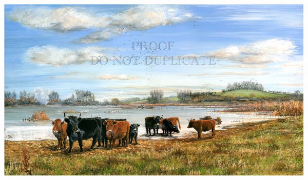 Dexter Cattle Painting