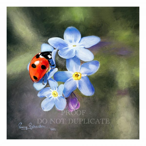 Forget Me Not Ladybird