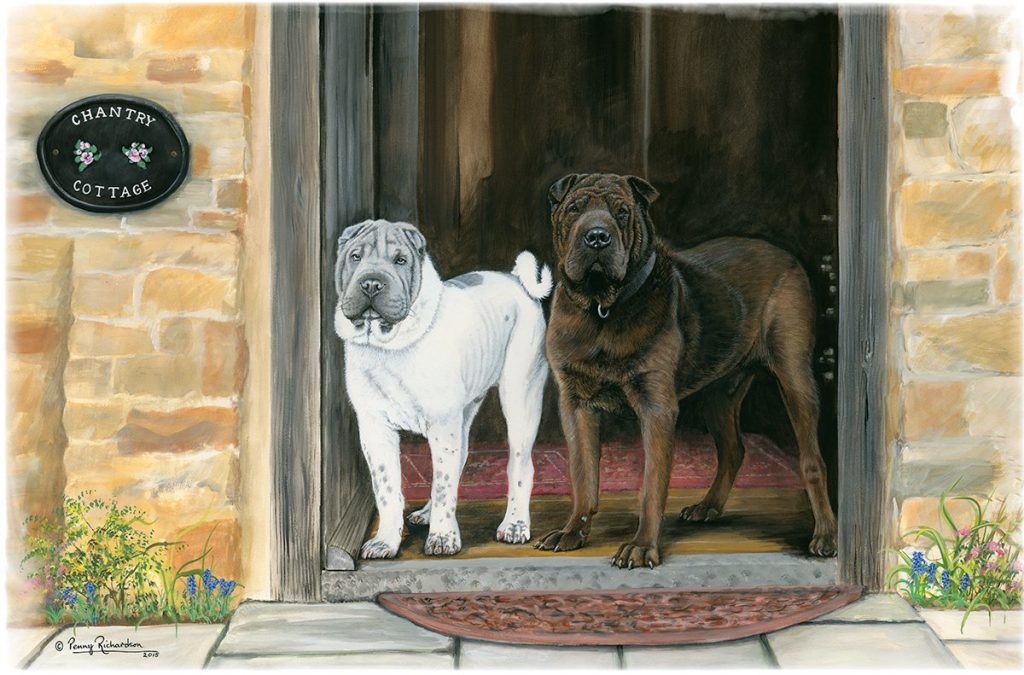 Shar Pei Portrait - Rutland Dog Artist
