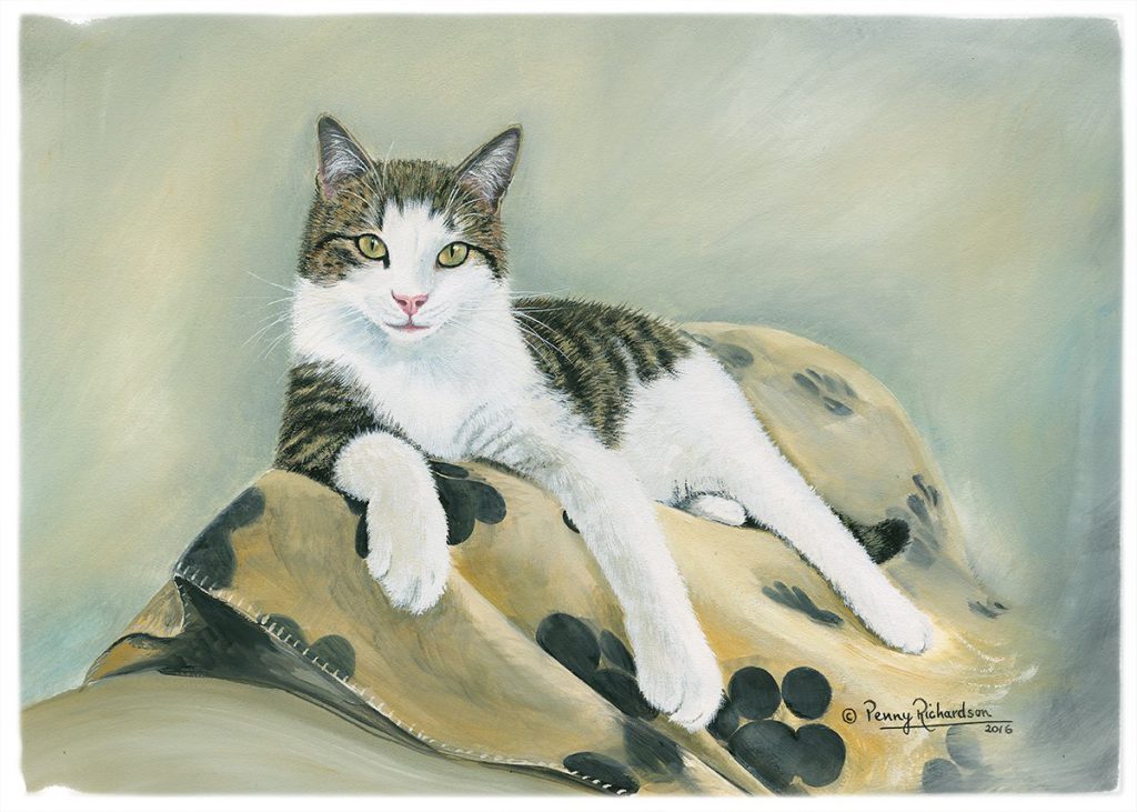 Cat Portrait Painting Mansfield & Nottinghamshire