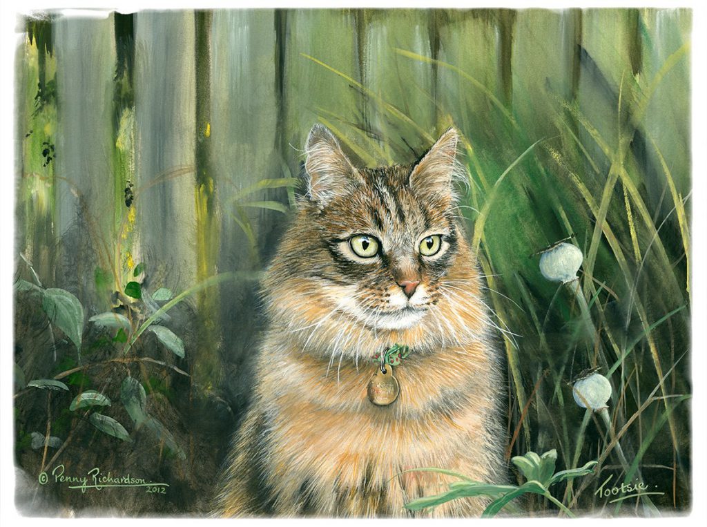 Hand Painted Cat Portrait - Leicestershire