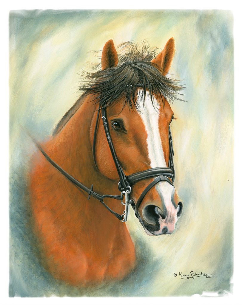 Horse Portraits - Oxfordshire - Berkshire