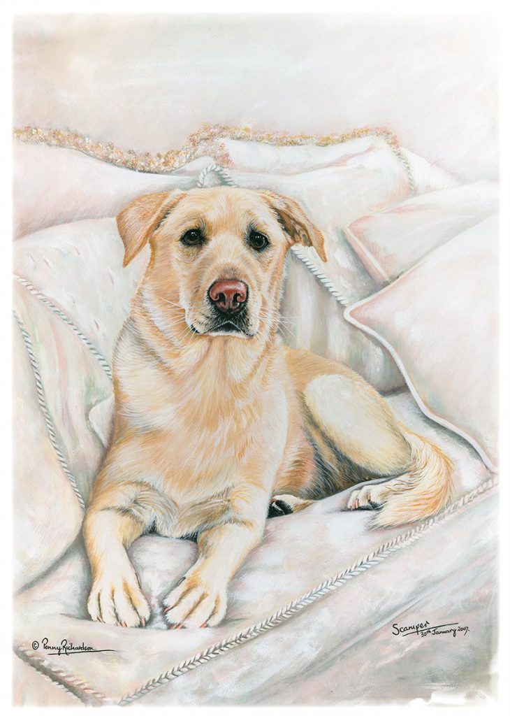 Dubai Pet Portraits -Yellow Labrador
