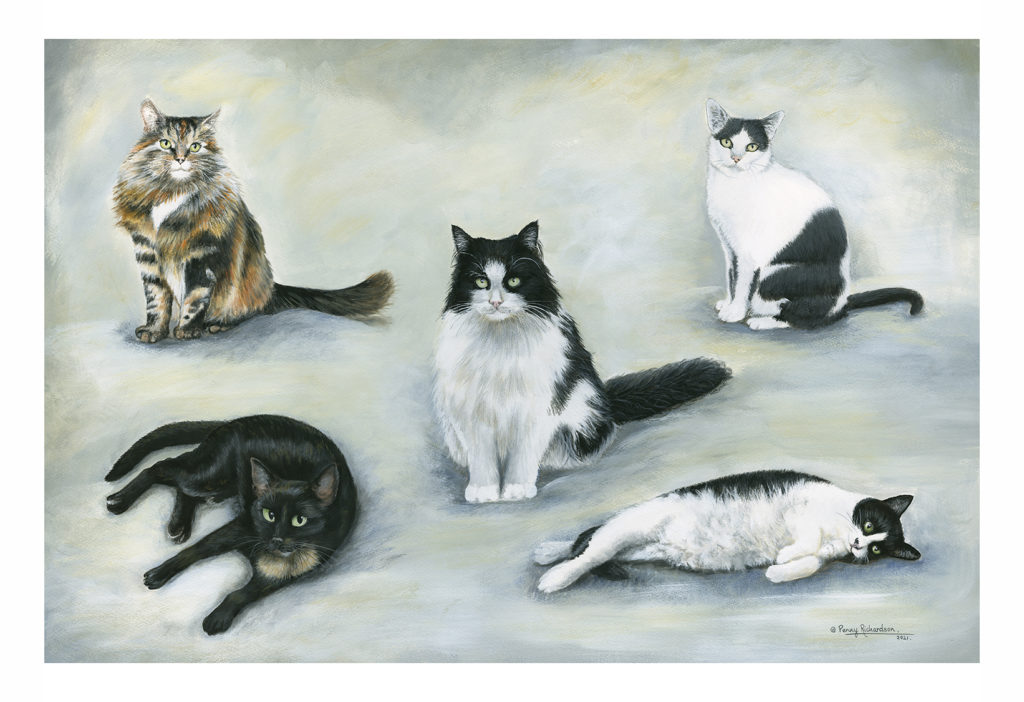 Cats Painting Folkstone Kent