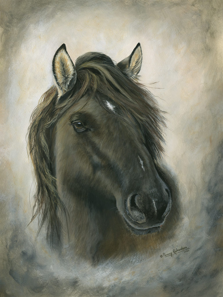 Pony Portrait Lincolnshire