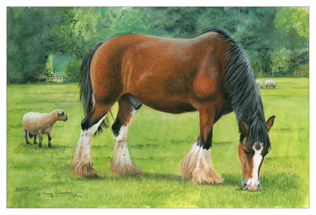 Shire Horse Painting