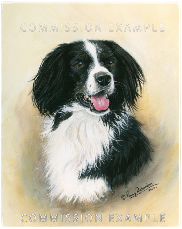 Pets Portraits - Paintings - Commissions