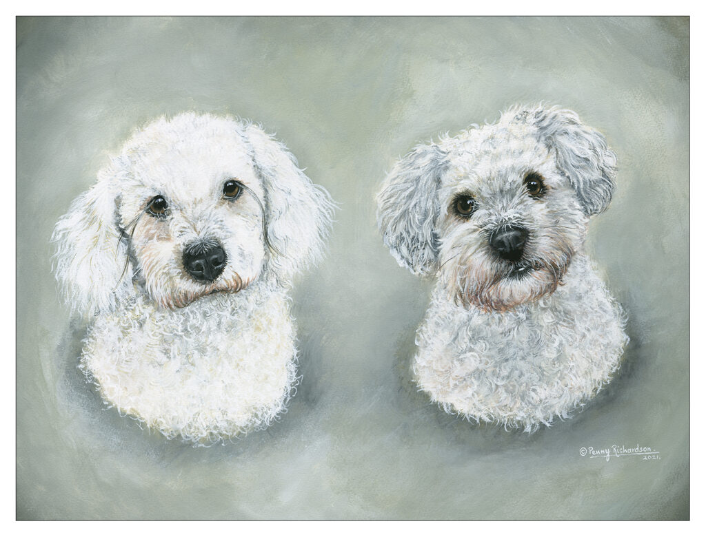 Dogs Portraits Berkshire