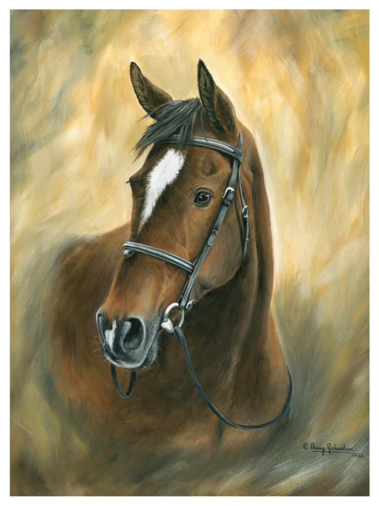 Horse Portraits Surrey - Woking & Camberley