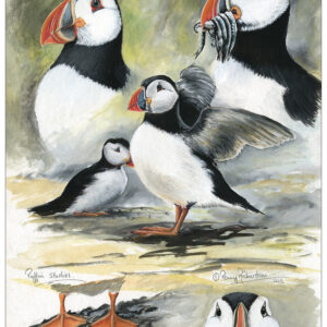 puffins painting